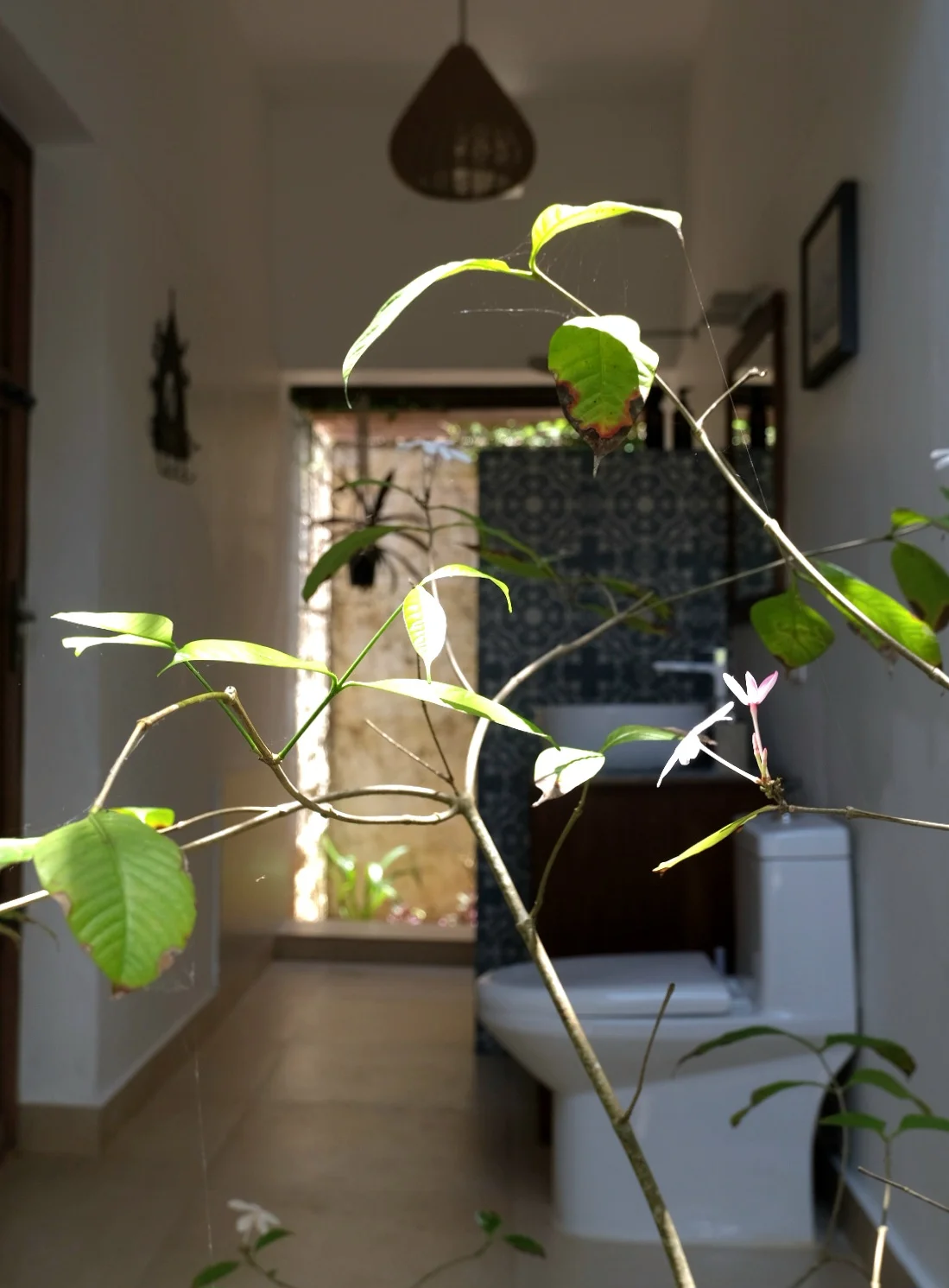 Vayu 4