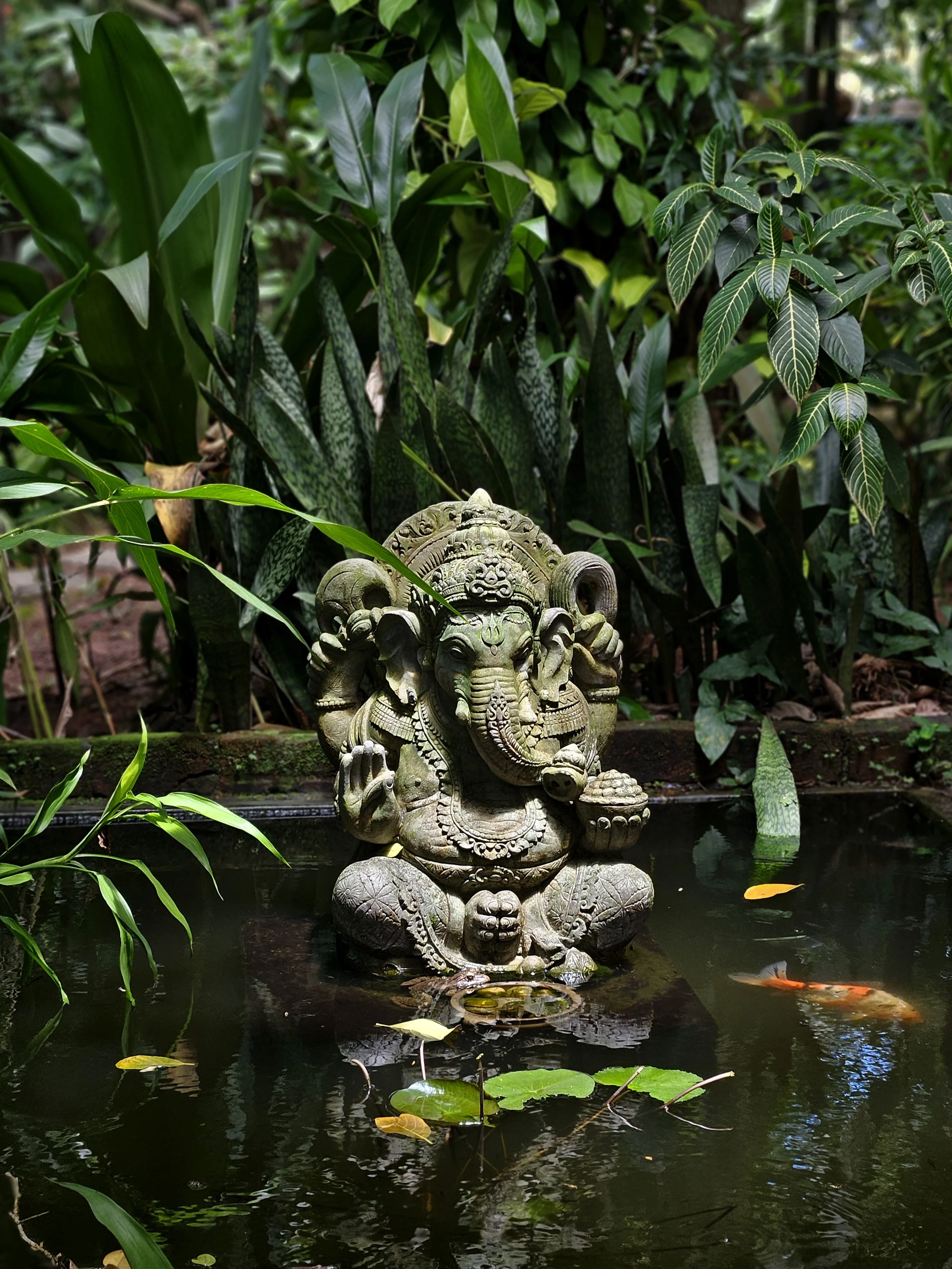 Story Image 4